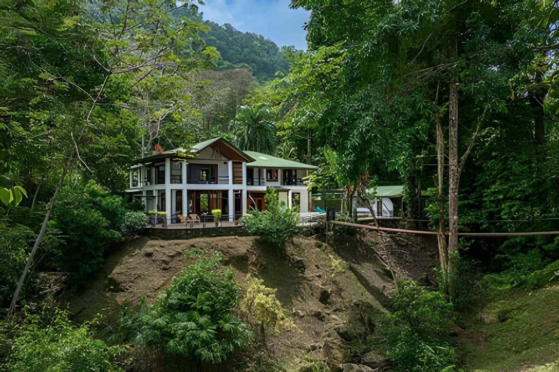 The Jungle Inn Dominicalito Bagian luar foto